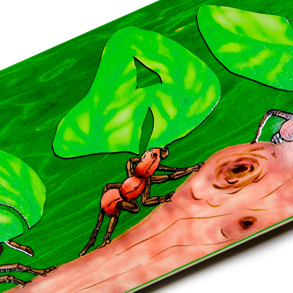 Thumbnail 4